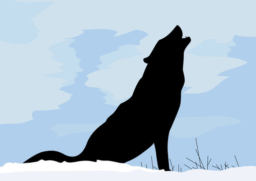Concept wolf in winter snow calling for others