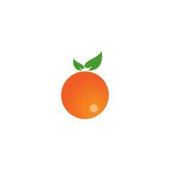 Colorful fruit logo icon template