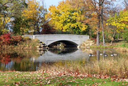 Beautiful fall landscape with bridge and colored trees in sunlight reflected in the lake Mendota bay water with canadian geese, green grass with foliage on a foreground. Tenney Park, Madison, WI, USA.