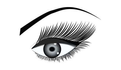 Eye female, one, close-up - isolated, black on white background - art vector. Design Element