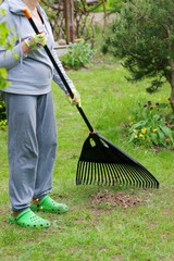 Garden cleaning. Raking dry grass in the garden.