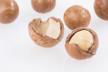 Macadamia nuts - Macadamia integrifolia