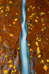 Water flowing through crack in sandstone - Zion Park