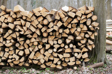 Pile of Wood