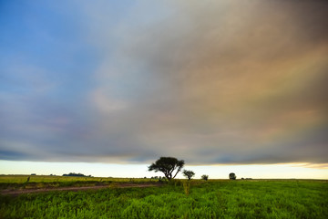 Smoke cloud Fire in La Pampa, Argentina