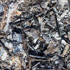 Black burned grass on the ground as an abstract background