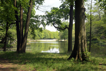 volkspark jungfernheide