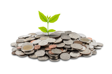 A pile of coins isolated on white background
