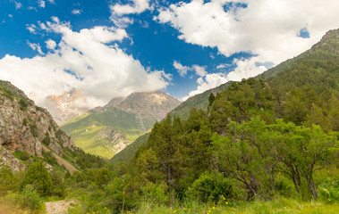 Beautiful nature in the Himalayas in spring