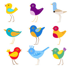 Seth of beautiful colorful birds that fly to warm countries when it comes cold