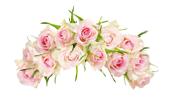 Beautiful white rose flowers in arch arrangement