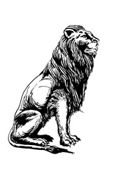 Graphical sketch of lion sitting isolated on white background,vector illustration for tattoo and printing