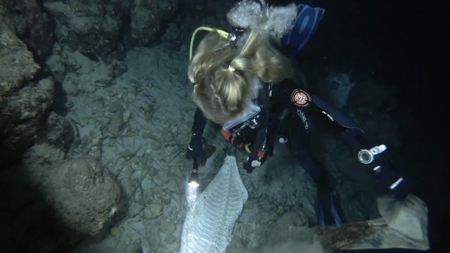 Young beautiful woman scuba diver removes debris from the bottom of the ocean - Himantura fai, Indian Ocean, Maldives
