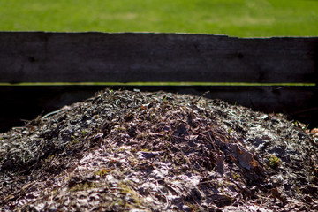 compost of leaves in a wooden box