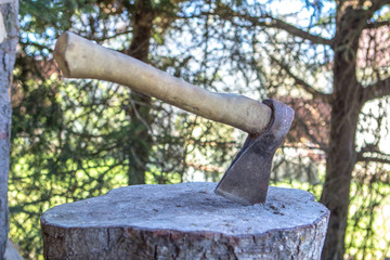 ax against the background of the forest