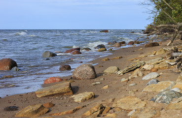 Fototapeta na wymiar The Baltic Sea wild coastline in northern Estonia.