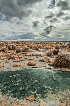 Estromatolitos en tierra del fuego