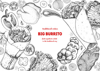 Burrito and ingredients for burrito sketch. Mexican food vector illustration. Food menu engraved elements.