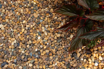 Pebbles of use as a background.