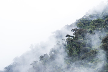 Salkantay Trekking Peru the road to Machu Pichu