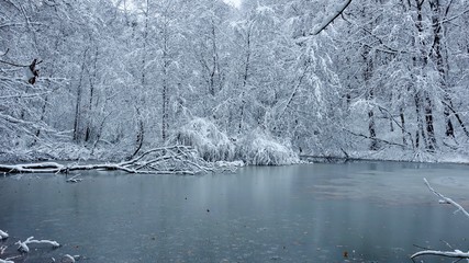 Winterlandschaft im verschneiten Wald