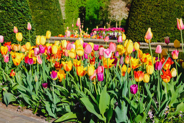 Keukenhof in Holland