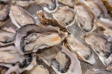 Oysters with ice