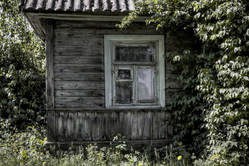 Stare okno w liściach