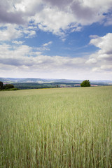 Obraz premium Wanderung Klausen Felder