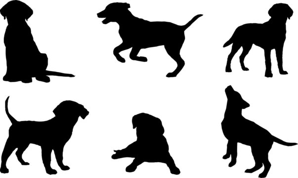 Vector silhouettes of puppies.