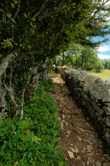 Stone wall and hiking path over the Creux du Van, Romandie (French Switzerland)