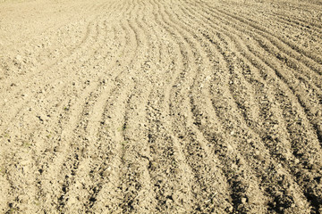 Naklejka premium Ploughed field