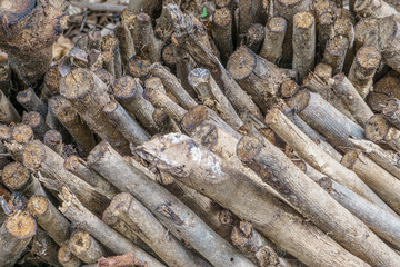Pile of wood background and texture.