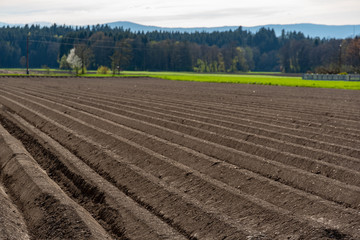 Plowed field brown soil