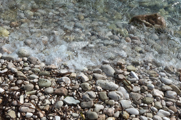shore with stones