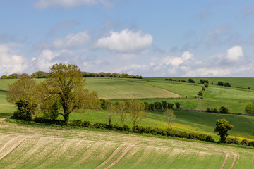 Spring Sussex Landscape