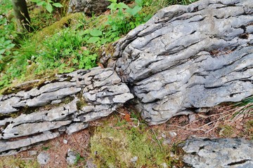 Zerklüfteter Fels im Alpstein, Ostschweiz