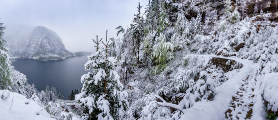 Fototapeta na wymiar Snowy and Foggy Lake Hallstatt