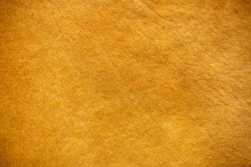 the texture of the pile cow fur