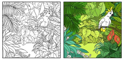 Wild jungle with cockatoo parrot perched on branch color and black contour line drawing for coloring on a white background