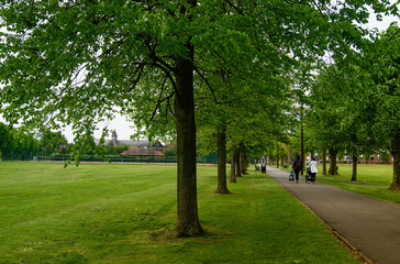 Green tree alley and walking people in park.
