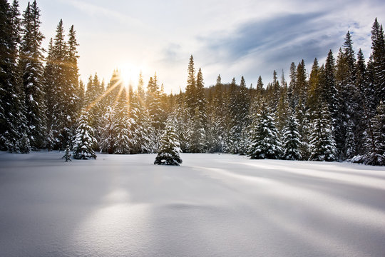Sunset in a snow covered Meadows in a remote area in the Rocky Mountains, Colorado