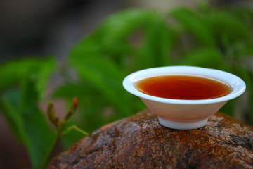 Black Chinese Tea garden