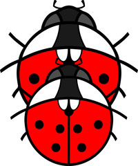 Mating couple of cute cartoon ladybirds on white background