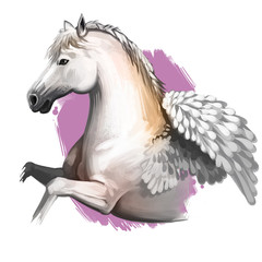 Pegasus digital art illustration isolated on white background. Legendary ancient mythological crature, fairy-tale dreamlike animal character drawing. Hand drawn graphic clip art for web, print, design