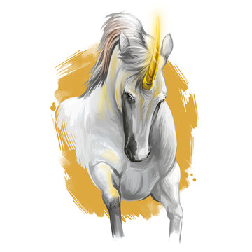 Unicorn digital art illustration isolated on white background. Legendary ancient mythological crature, fairy-tale dreamlike animal character drawing. Hand drawn graphic clip art for web, print, design