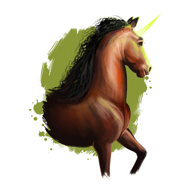 Unicorn digital art illustration isolated on white background. Legendary ancient mythological crature, fairy-tale dreamlike animal character drawing. Hand drawn graphic clip art for web, print, design