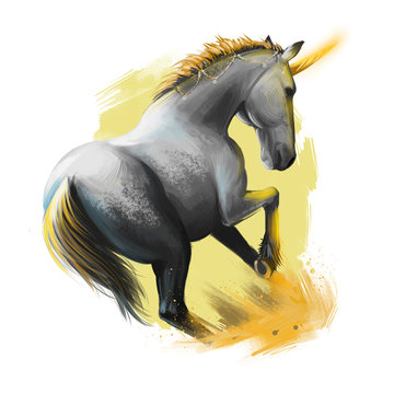 Unicorn digital art illustration isolated on white background. Legendary ancient mythological crature, fairy-tale dreamlike animal character drawing. Hand drawn graphic clip art for web, print, design