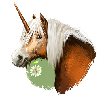 Unicorn digital art illustration isolated on white background. Legendary ancient mythological crature, fairy-tale dreamlike animal character drawing. Hand drawn graphic clip art for web, print, design