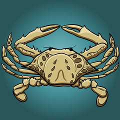 cartoon style crab vector illustration. Hand-drawn ocean inhabitant